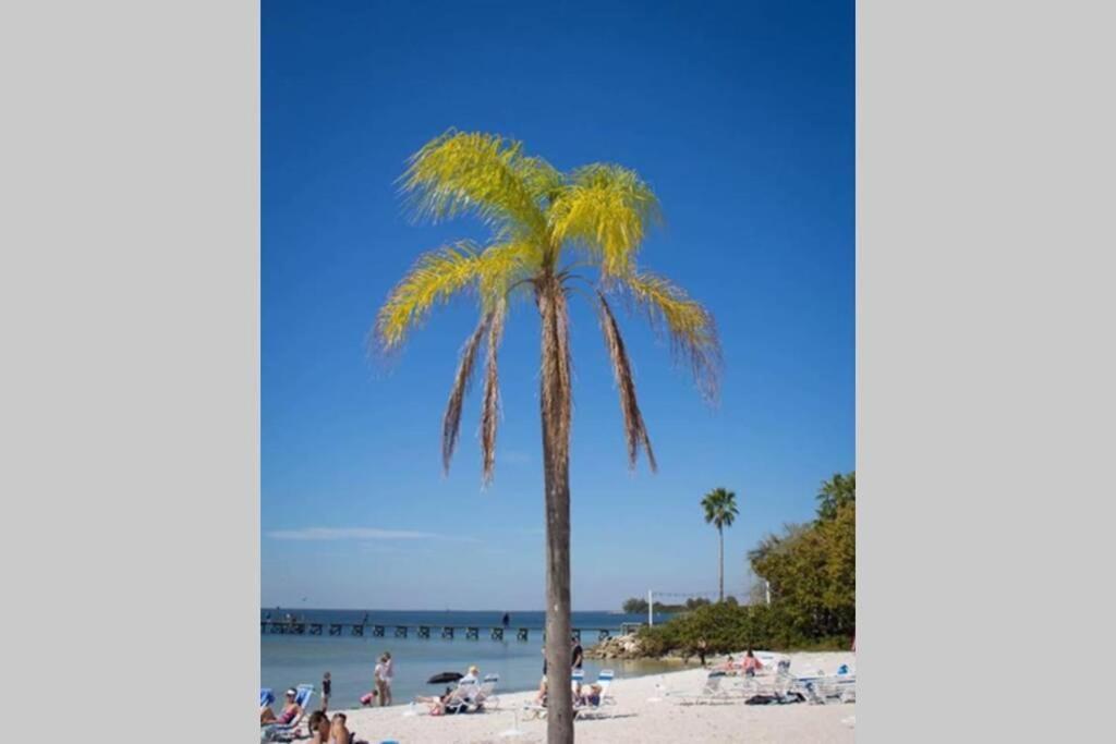Sea Breeze, Studio 510, Beach Steps Away!+Pool+Wifi Ръскин Екстериор снимка