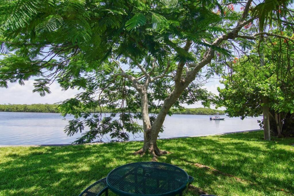 Sea Breeze, Studio 510, Beach Steps Away!+Pool+Wifi Ръскин Екстериор снимка